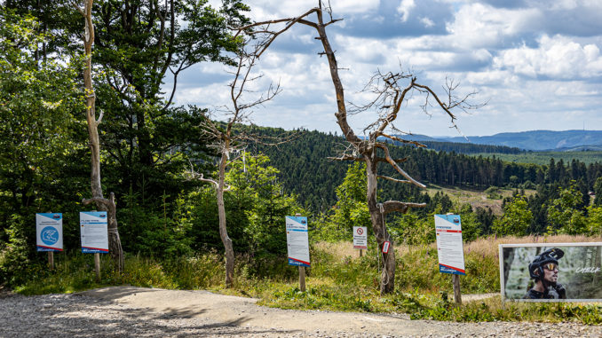 Welcher Trails darf es denn sein? Die Auswahl fällt schwer - wie hier in Willingen (Upland). // Foto: ummet-eck.de - Christian Schön