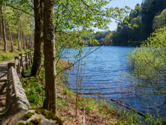 Die Fürwigge-Talsperre im Märkischen Kreis ist ein beliebter Ort zum laufen und entspannen. // Foto: ummet-eck.de - Timo Schön