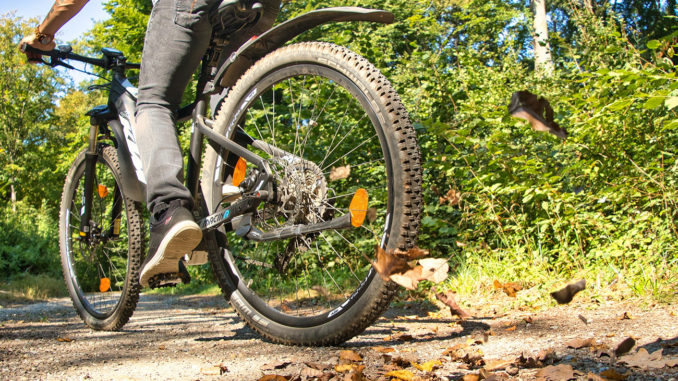 E-Bike fahren (Symbolbild). // Foto: pixabay.com