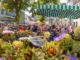 Soester Bördebauernmarkt in der Rathausstraße und am Petrikirchhof. // Foto: Wirtschaft & Marketing Soest GmbH