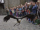 Adler, Habicht, Bussard und Co. sind am 28. Juli als besondere Gäste zwischen den Burgmauern unterwegs. // Foto: Britta Gerstendorf / Märkischer Kreis